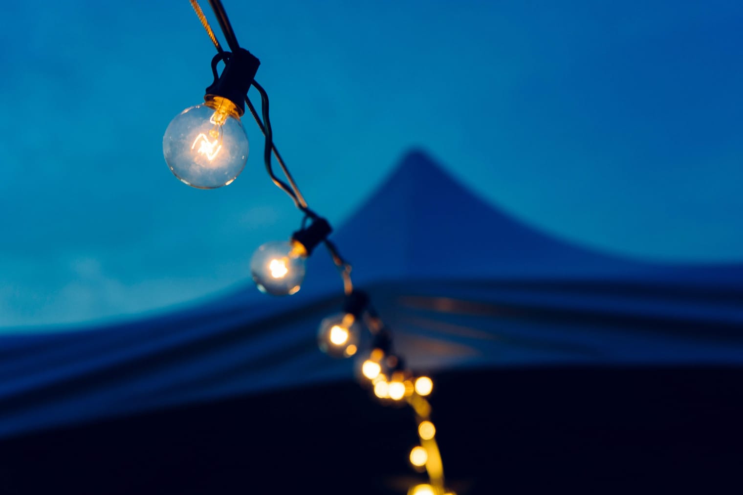 Distributori Locali di Energia Elettrica e Gas: Ruoli e Operazioni